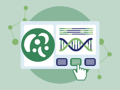 webapp parasite genome data